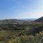 land for sale anarita paphos 8529607 thumbnail 15456159