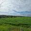 land for sale frenaros famagusta 8716607 thumbnail 16301381