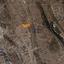 land for sale kato polemidia limassol 1737607 thumbnail 13972918