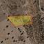 land for sale kato polemidia limassol 1737607 thumbnail 13972920