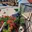 4 bedroom bungalow for sale tala paphos 7736707 thumbnail 10182510