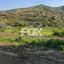 land for sale pomos paphos 8254707 thumbnail 14832005