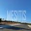 plot for rent tseri nicosia 1068707 thumbnail 10489400