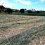 plot for sale alampra nicosia 1152707 thumbnail 5160272