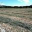 plot for sale alampra nicosia 1152707 thumbnail 5160277