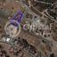 plot for sale kato polemidia limassol 1658807 thumbnail 13219142