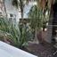 1 bedroom town house for rent latsia nicosia 8145907 thumbnail 15151908