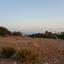 land for sale peyia paphos 7739907 thumbnail 11758197
