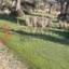 land for sale pissouri limassol 8879907 thumbnail 17253109