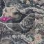 land for sale anglisides larnaca 8275017 thumbnail 17044242