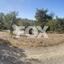 land for sale doros limassol 1886017 thumbnail 7121703