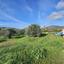 2713 SQM Land for sale in Kornos, Larnaca thumbnail 15599174
