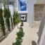 3 bedroom detached house for rent peyia paphos 8792217 thumbnail 16694559