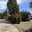 plot for sale dasoupoli nicosia 7993217 thumbnail 16280203