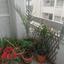 3 bedroom apartment for sale larnaca municipality larnaca 8620417 thumbnail 16297867