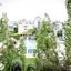 3 bedroom apartment for sale potamos germasogeias limassol 8333417 thumbnail 15472773