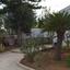 3 bedroom detached house for sale coral bay paphos 1684417 thumbnail 4402653