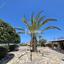 3 bedroom detached house for sale saint george peyia paphos 7812417 thumbnail 16553466