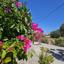 3 bedroom detached house for sale saint george peyia paphos 7812417 thumbnail 16553477