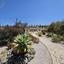3 bedroom detached house for sale saint george peyia paphos 7812417 thumbnail 16553482