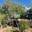 4 bedroom detached house for sale germasogeia limassol 1146417 thumbnail 5540863