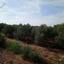 land for sale astromeritis nicosia 946417 thumbnail 3353335