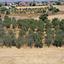 land for sale astromeritis nicosia 946417 thumbnail 3353352
