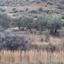 land for sale ora larnaca 1196417 thumbnail 5595874