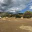 land for sale parekklisia limassol 7981417 thumbnail 11700151