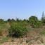 plot for sale neo chorio paphos 8237417 thumbnail 14228821