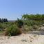 plot for sale neo chorio paphos 8237417 thumbnail 14228823