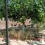 plot for sale neo chorio paphos 8237417 thumbnail 14228824