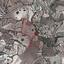 16389 SQM Land for sale in Simou, Paphos thumbnail 15277869