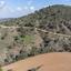 land for sale fikardou nicosia 8620517 thumbnail 15823749