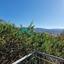 3 bedroom apartment off market rental peyia paphos 8611617 thumbnail 15803098