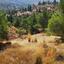 land for sale agios theodoros soleas nicosia 839617 thumbnail 2891939