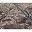 land for sale alampra nicosia 7643617 thumbnail 9881103