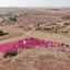 land for sale geri nicosia 8629617 thumbnail 15869249