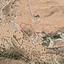 1750 SQM Land for sale in Nata, Paphos thumbnail 16685797