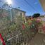 2 bedroom ground floor apartment for rent neapolis limassol 8439717 thumbnail 15030211