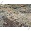 land for sale alampra nicosia 7788717 thumbnail 10426503