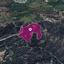 land for sale lysos paphos 8629717 thumbnail 15869626