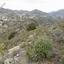 land for sale palaichori oreinis nicosia 1174717 thumbnail 3361563