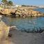 5 bedroom detached house for rent chlorakas paphos 8670817 thumbnail 16043836