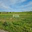 land for sale anarita paphos 1159817 thumbnail 5530132
