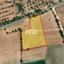 land for sale anarita paphos 1159817 thumbnail 5530142