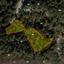 land for sale lemithou limassol 1795817 thumbnail 5961368