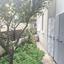 2 bedroom ground floor apartment for rent dekeleia larnaca 8620917 thumbnail 15830729