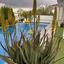4 bedroom detached house for sale makedonitissa nicosia 8428917 thumbnail 14976332