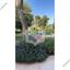 5 bedroom detached house for sale strovolos nicosia 8403917 thumbnail 15685829